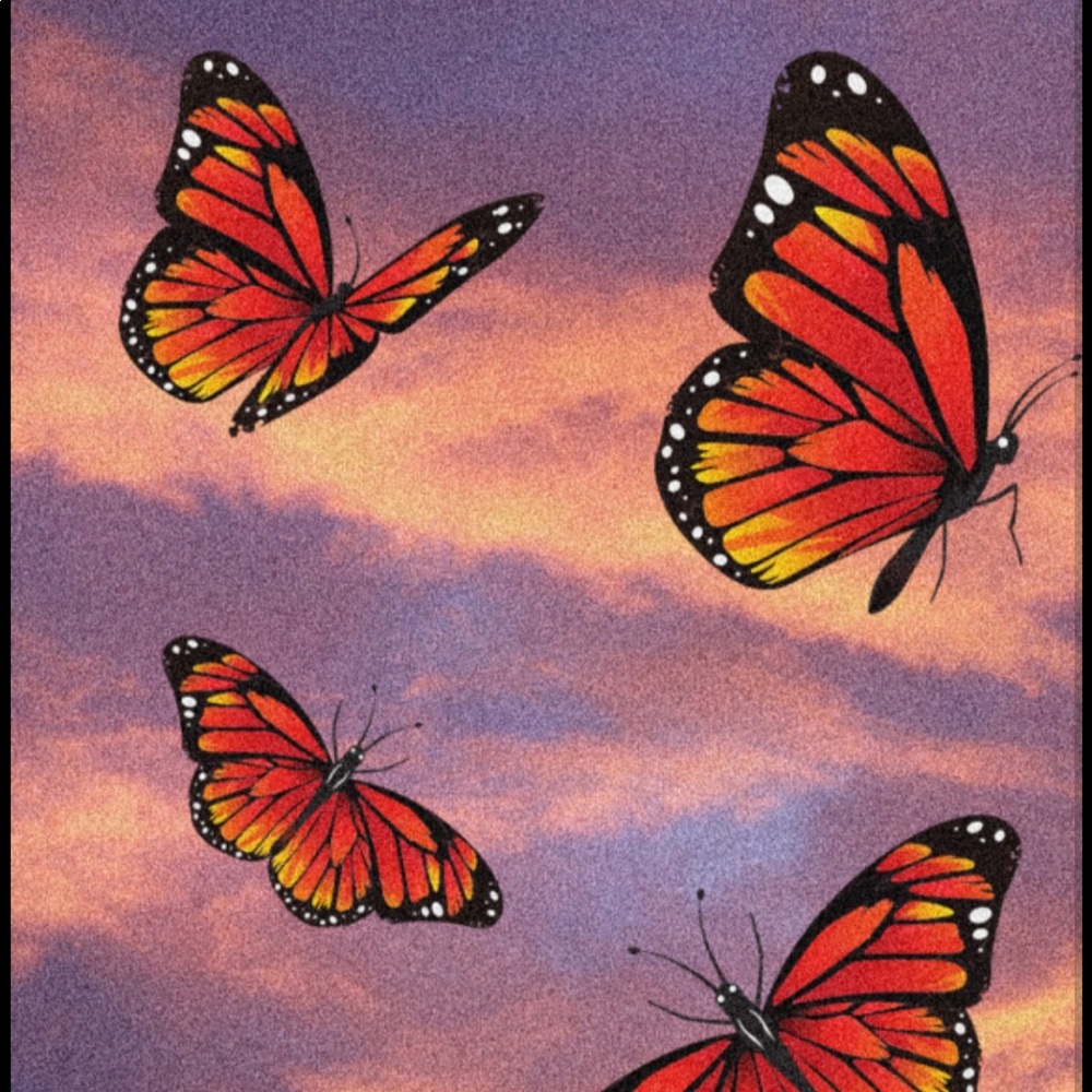 Meet your Posher, Jewls